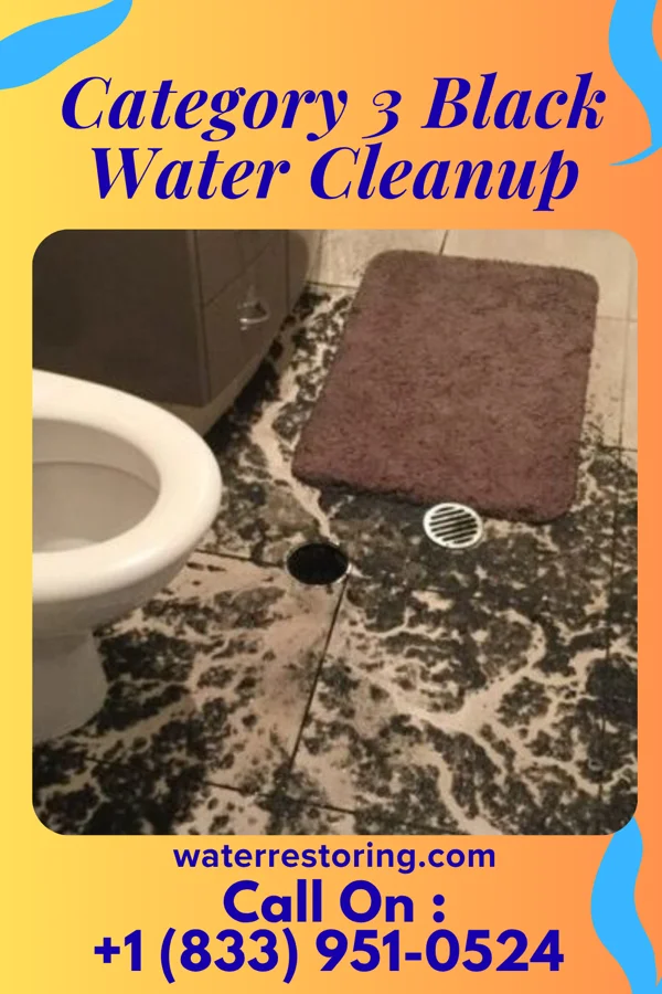 Category 3 Black Water Cleanup in Guernsey, IA